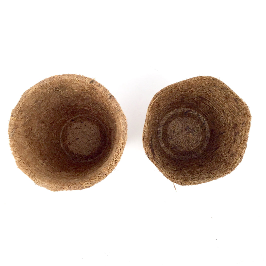 Nutley's 8cm Coco Fibre Biodegradable Reusable Easy Transplanting Flexible Plant Pots in both thick and thin 