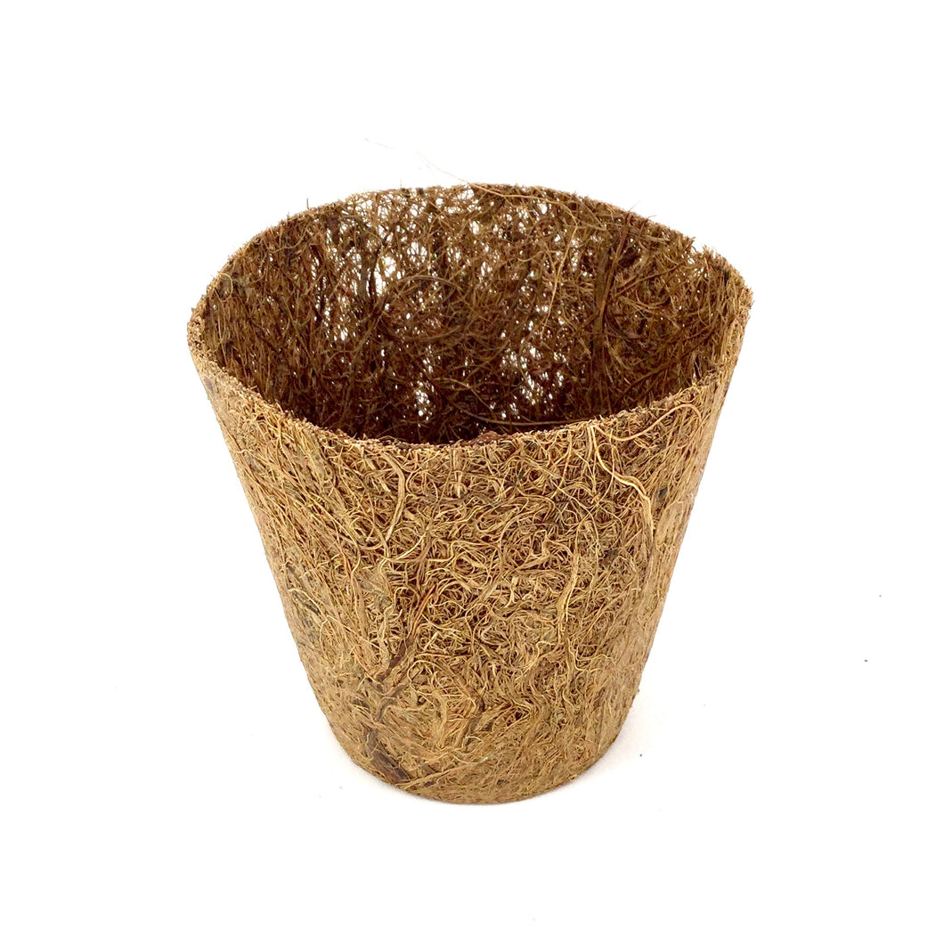 Nutley's 8cm Coco Fibre Biodegradable Reusable Easy Transplanting Flexible Plant Pots in both thick and thin 