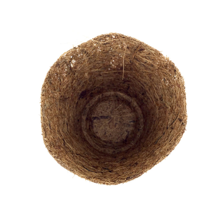 Nutley's 8cm Coco Fibre Biodegradable Reusable Easy Transplanting Flexible Plant Pots in both thick and thin 