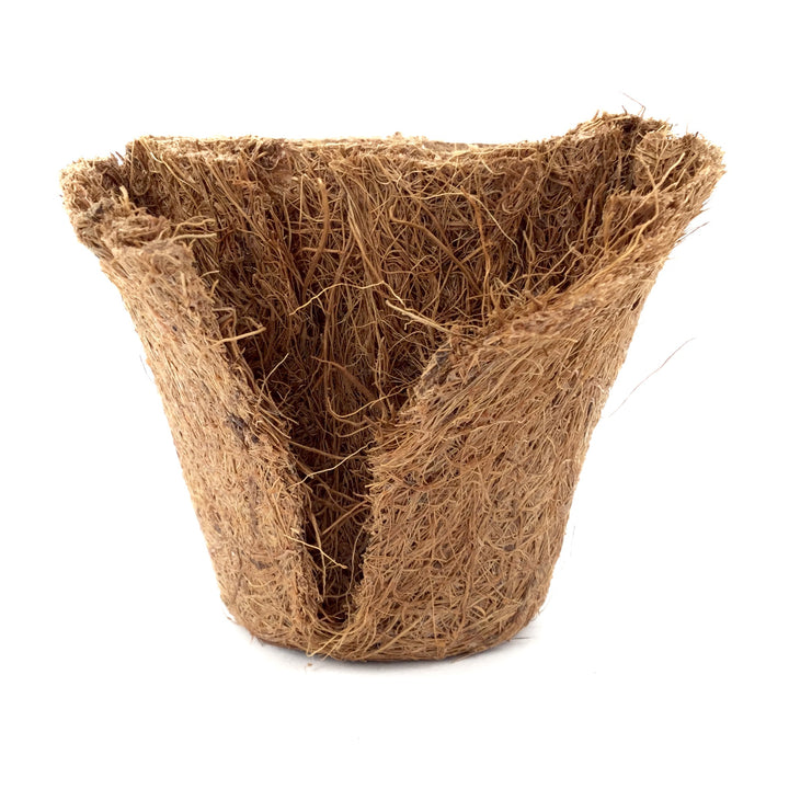 Nutley's 8cm Coco Fibre Biodegradable Reusable Easy Transplanting Flexible Plant Pots in both thick and thin 