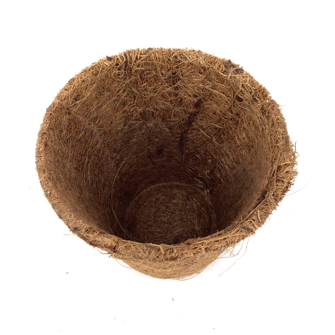 Nutley's 8cm Coco Fibre Biodegradable Reusable Easy Transplanting Flexible Plant Pots in both thick and thin 
