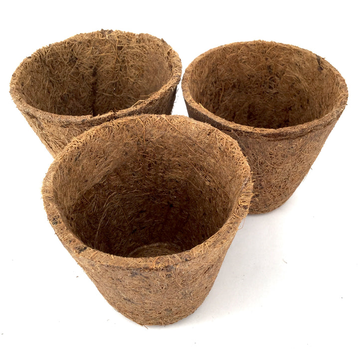 Nutley's 8cm Coco Fibre Biodegradable Reusable Easy Transplanting Flexible Plant Pots in both thick and thin 