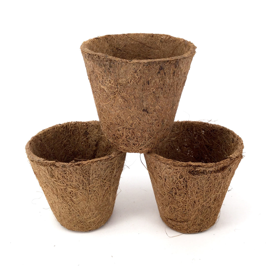 Nutley's 8cm Coco Fibre Biodegradable Reusable Easy Transplanting Flexible Plant Pots in both thick and thin 