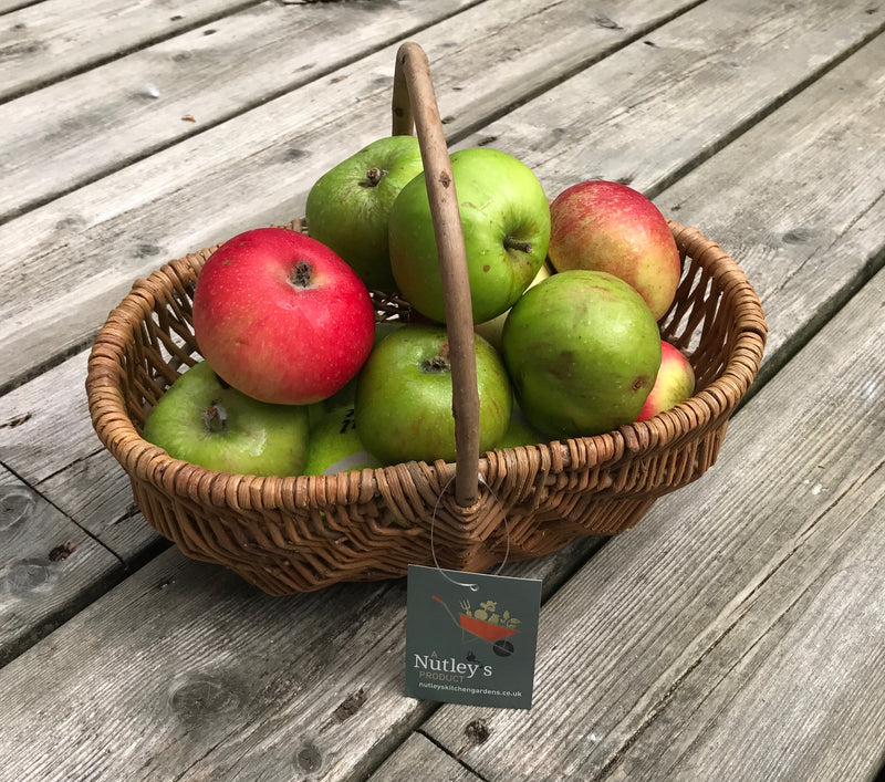 Nutley's Beautiful Small Hand-Made Rustic Willow Garden Trug Basket wicker