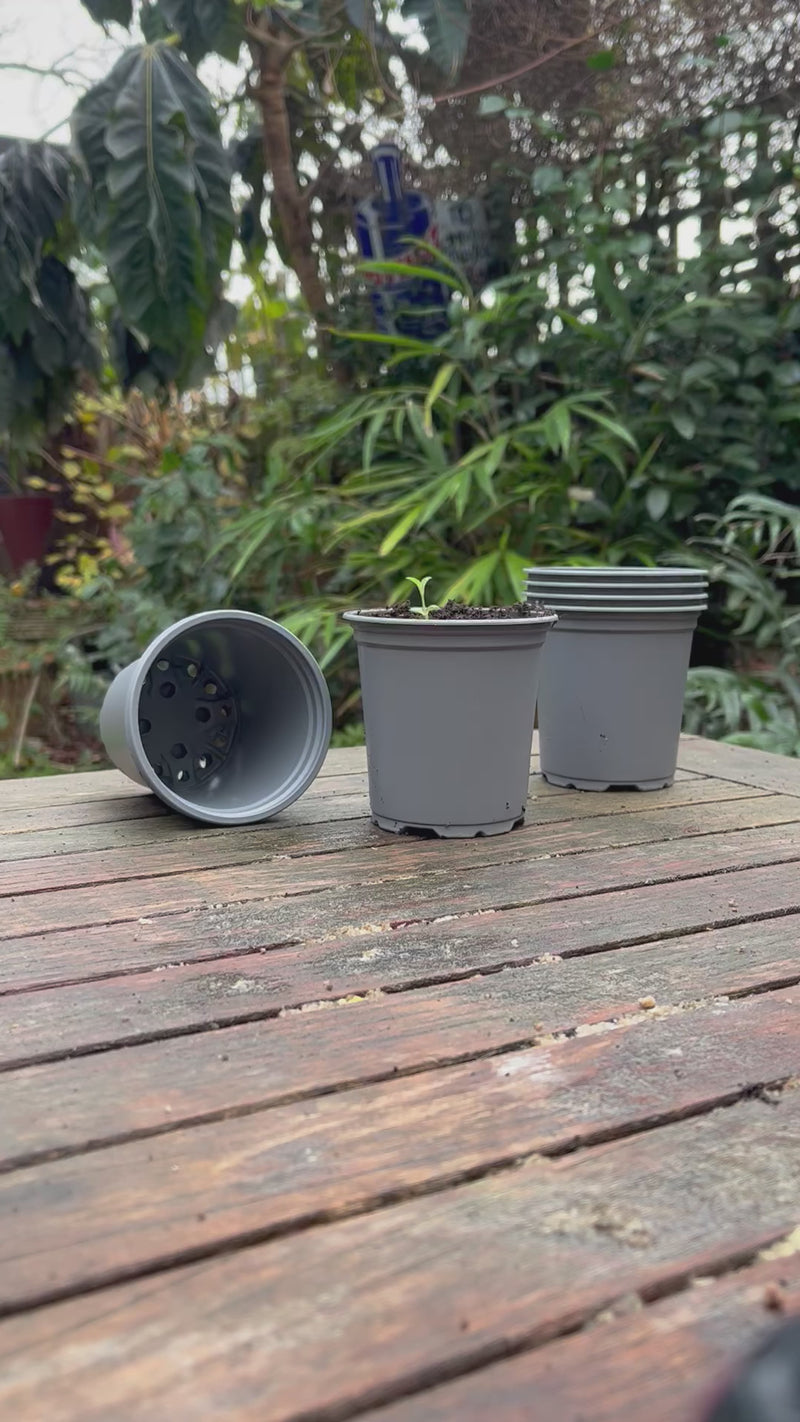 Nutley's 9cm Round Plastic Plant Pots