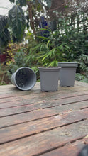 Load and play video in Gallery viewer, Nutley&#39;s 9cm Round Plastic Plant Pots
