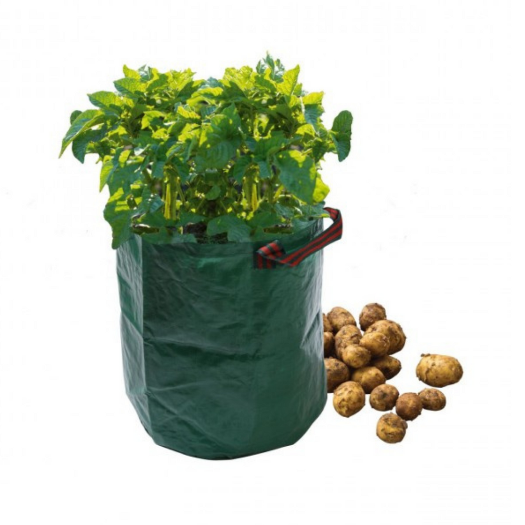 Garland Reusable Green Potato Bag